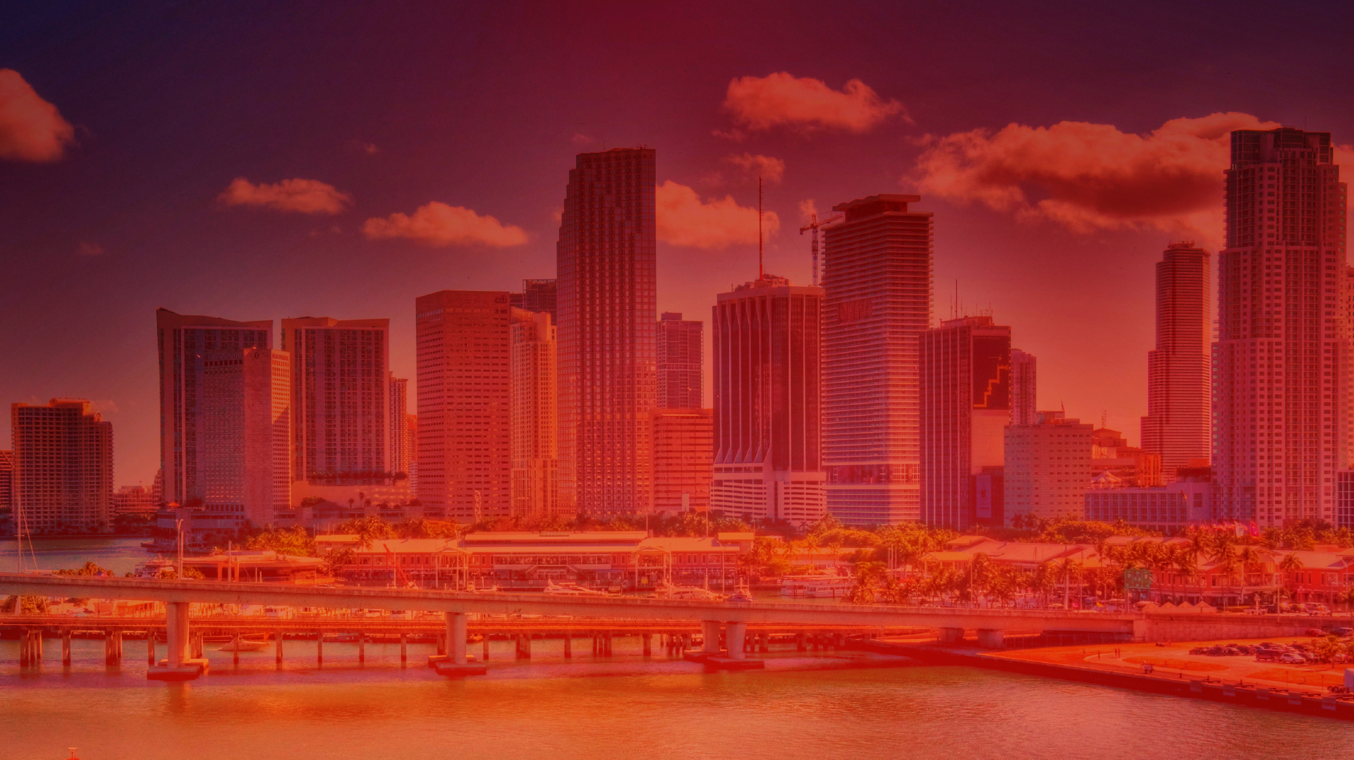 NM+U Color Background Miami Skyline